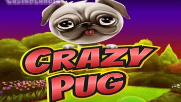 Crazy Pug by Swintt