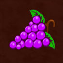 Fenix Play 27 Deluxe Symbol Grapes