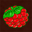 Fenix Play 27 Deluxe Symbol Raspberry