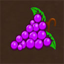Fenix Play Deluxe Symbol Grape