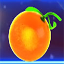 Fruit Mania Deluxe Symbol Orange
