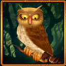 Great Book of Magic Deluxe Symbol Owl