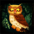 Great Book of Magic Owl