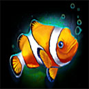 Great Ocean Symbol Clownfish