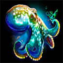 Great Ocean Symbol Octopus