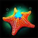 Great Ocean Symbol Starfish