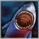 Hungry Shark Symbol Shark