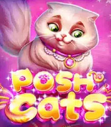 Posh Cats Thumbnail