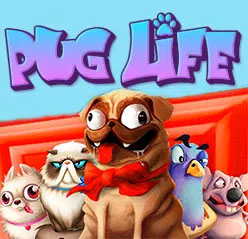 Pug Life Thumbnail