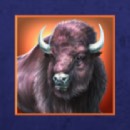 Wolf Moon Rising Slot