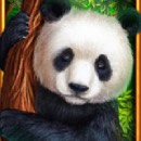 Bamboo Rush Slot