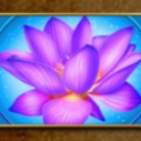 Bamboo Rush Slot