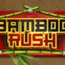 Bamboo Rush Slot