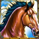 Gold Canyon Slot