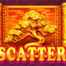 Dragon & Phoenix Slot