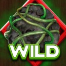 Back to Venus Slot