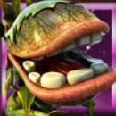 Back to Venus Slot
