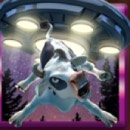 Back to Venus Slot