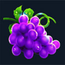 Seven Books Unlimited Grape