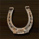 Wild Guns Symbol Horseshoe