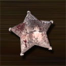 Wild Guns Symbol Star