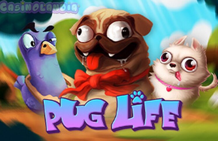 Pug Life by Hacksaw Gaming