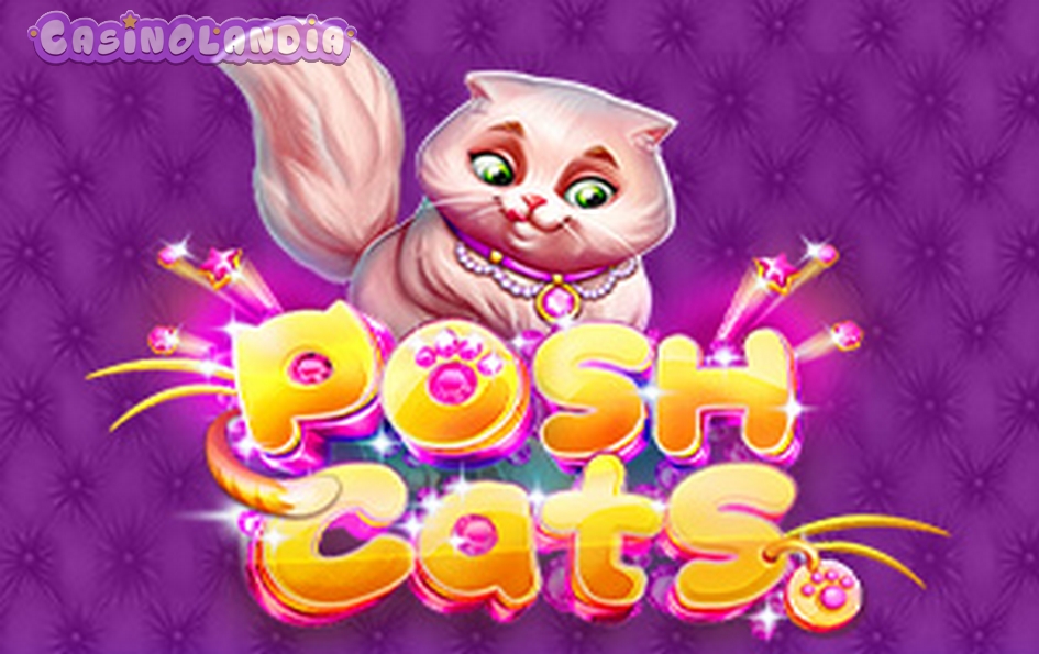 Posh Cats by Platipus