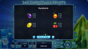 243 Christmas Fruits Paytable 2
