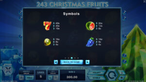 243 Christmas Fruits Paytable