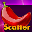 40 CHILLI FRUITS Scatter