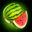 40 Chilli Fruits Flaming Edition Symbol Watermelon