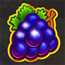 Fruit Story Symbol Grapes