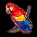 Samba Symbol Parrot