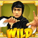 Wild Fight Paytable Symbol 11