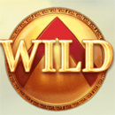 Wild Spartans Paytable Symbol 9