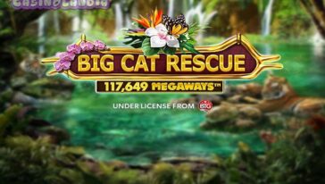 Big Cat Rescue Megaways by Red Tiger