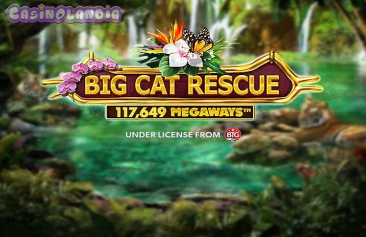 Big Cat Rescue Megaways by Red Tiger