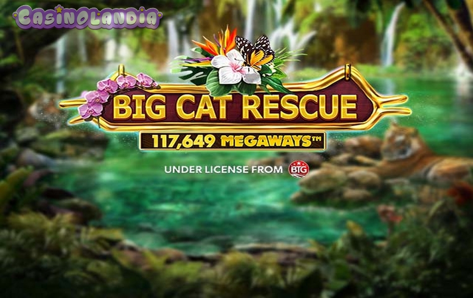 Big Cat Rescue Megaways by Red Tiger