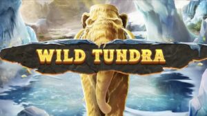 Wild Tundra Thumbnail Small
