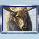 Wild Tundra paytable Symbol 6