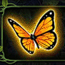 3 Butterflies Paytable SYmbol 5