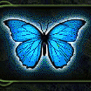 3 Butterflies Paytable SYmbol 6