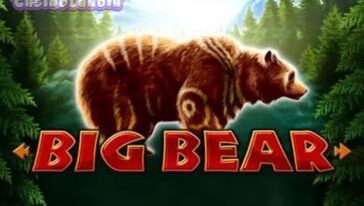 Big Bear by Playtech