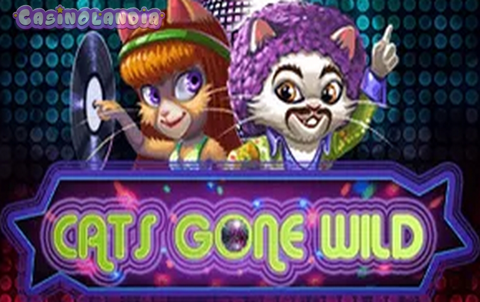Cats Gone Wild