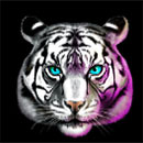 Chinese Tigers Symbol White