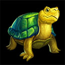Dragon's Element Deluxe Symbol Turtle