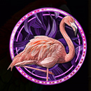 Flamingo Paradise Paytable Symbol 10