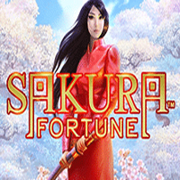 Sakura Fortune Icon