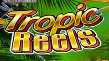 Tropic Reels by Playtech