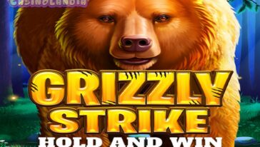 Grizzly Strike Hold and Win by Iron Dog Studio